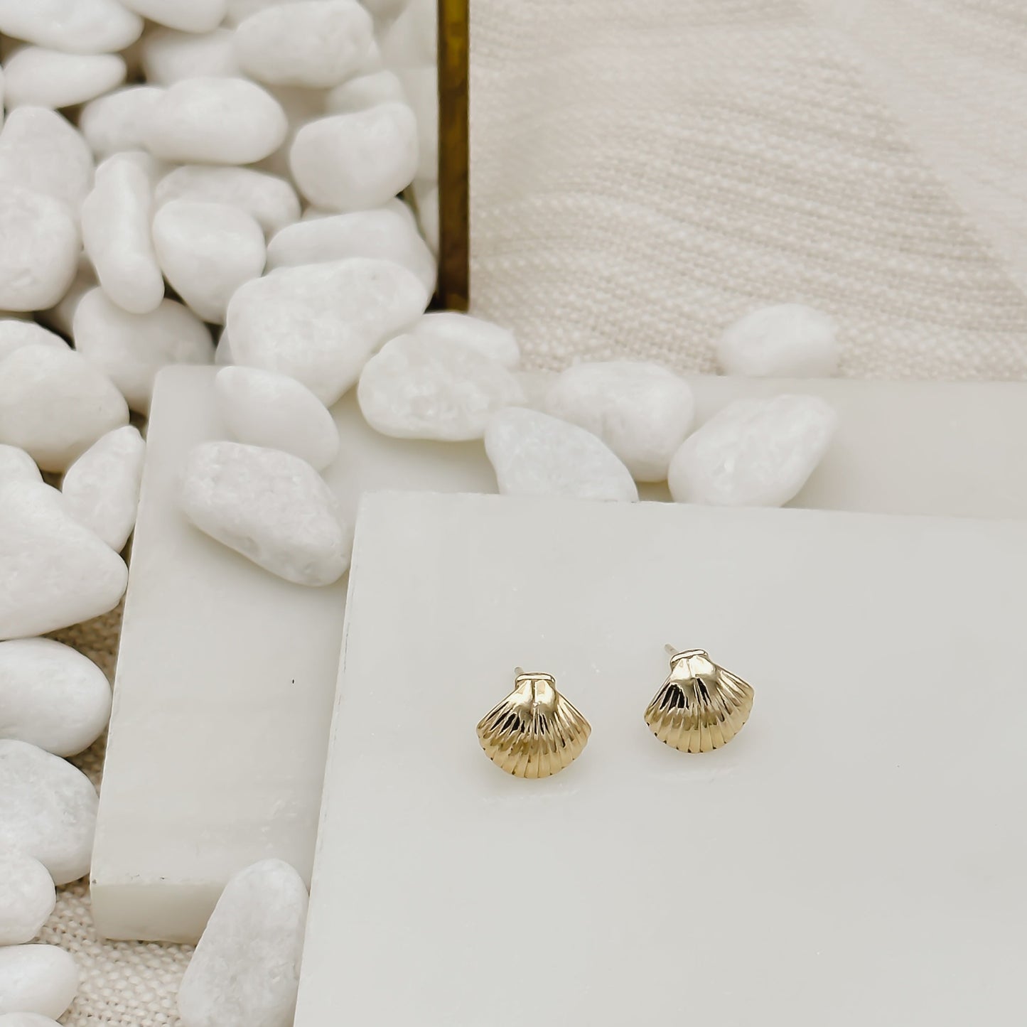 Clam Shell Stud Earring