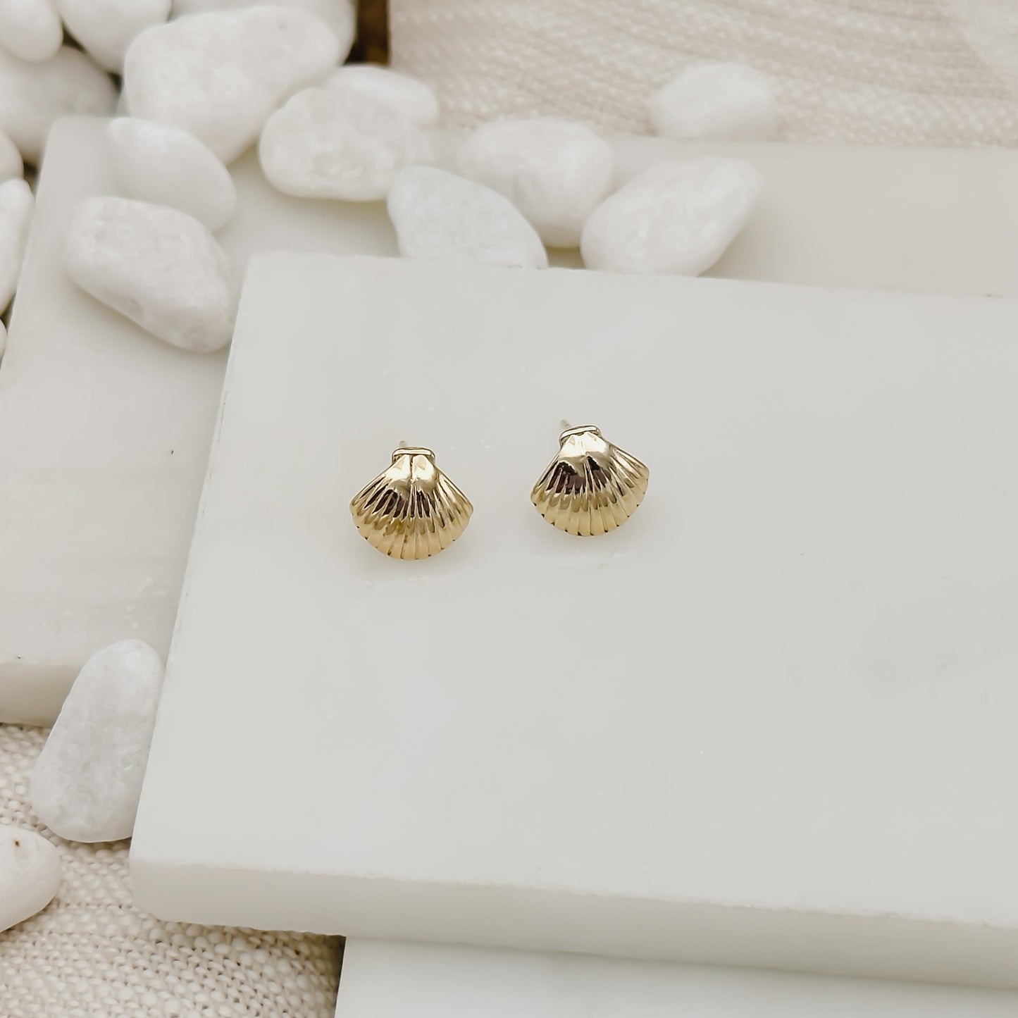 Clam Shell Stud Earring