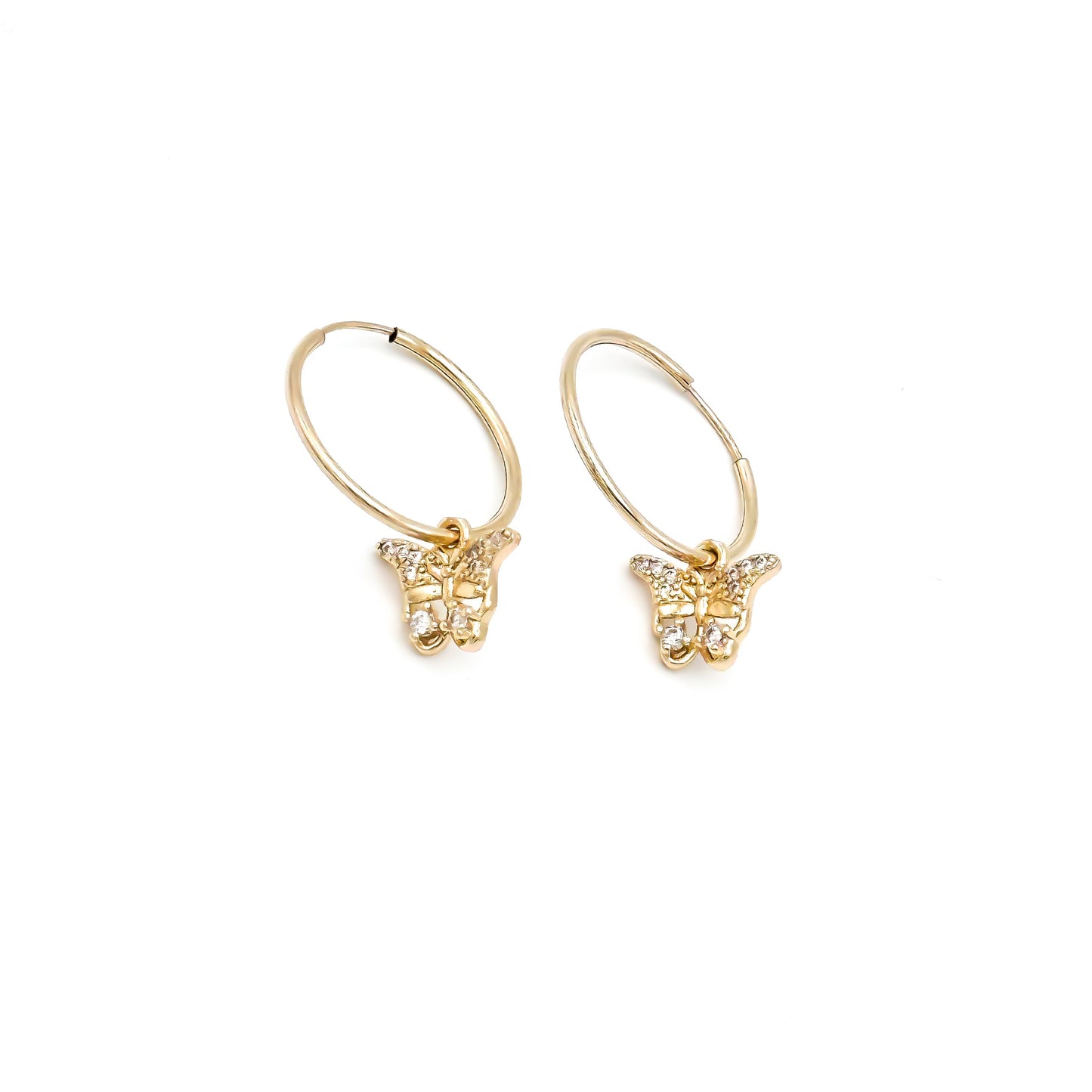 Delia Charm Hoop Earring