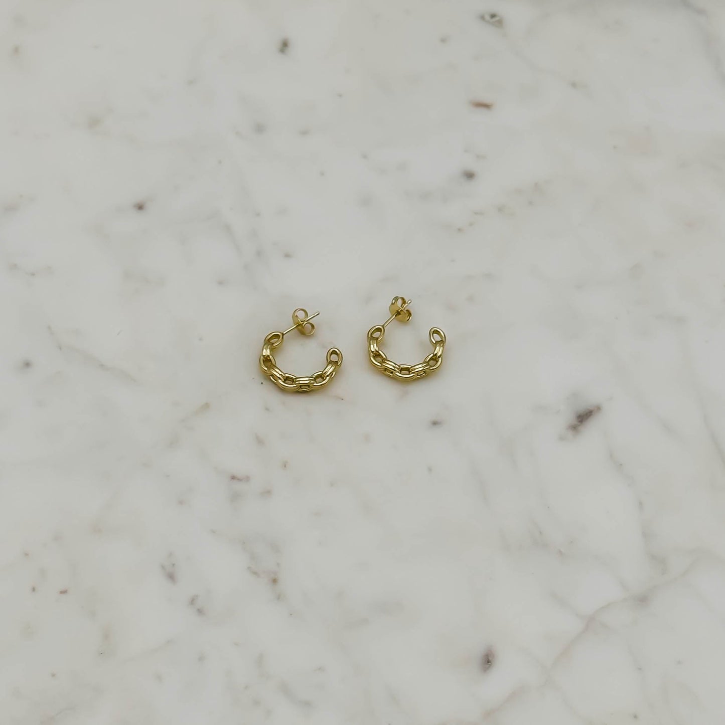 Sidney Chain Link Hoop Earring