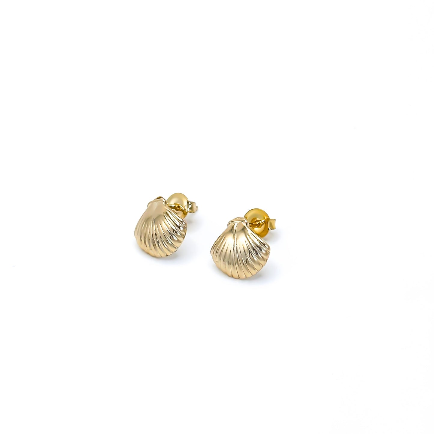 Clam Shell Stud Earring