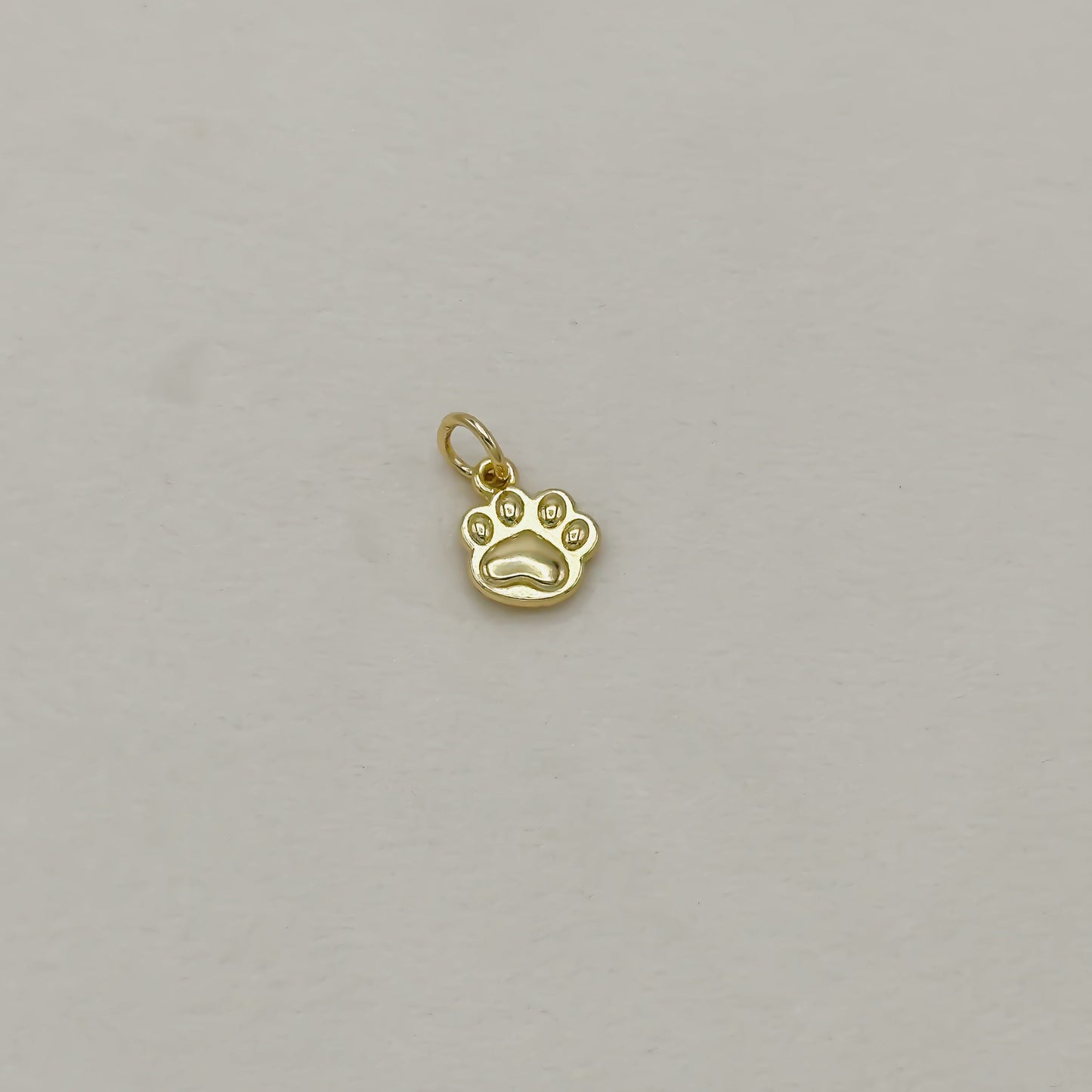 Paw Print Charm