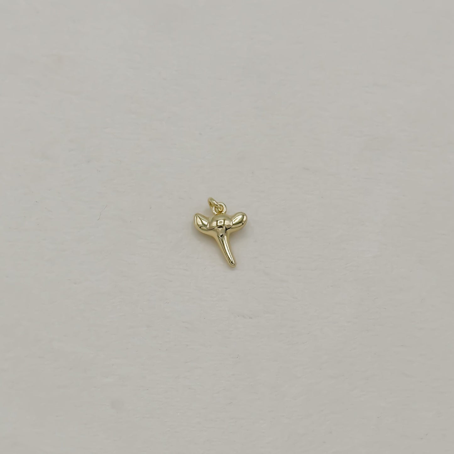 Shark Tooth Charm