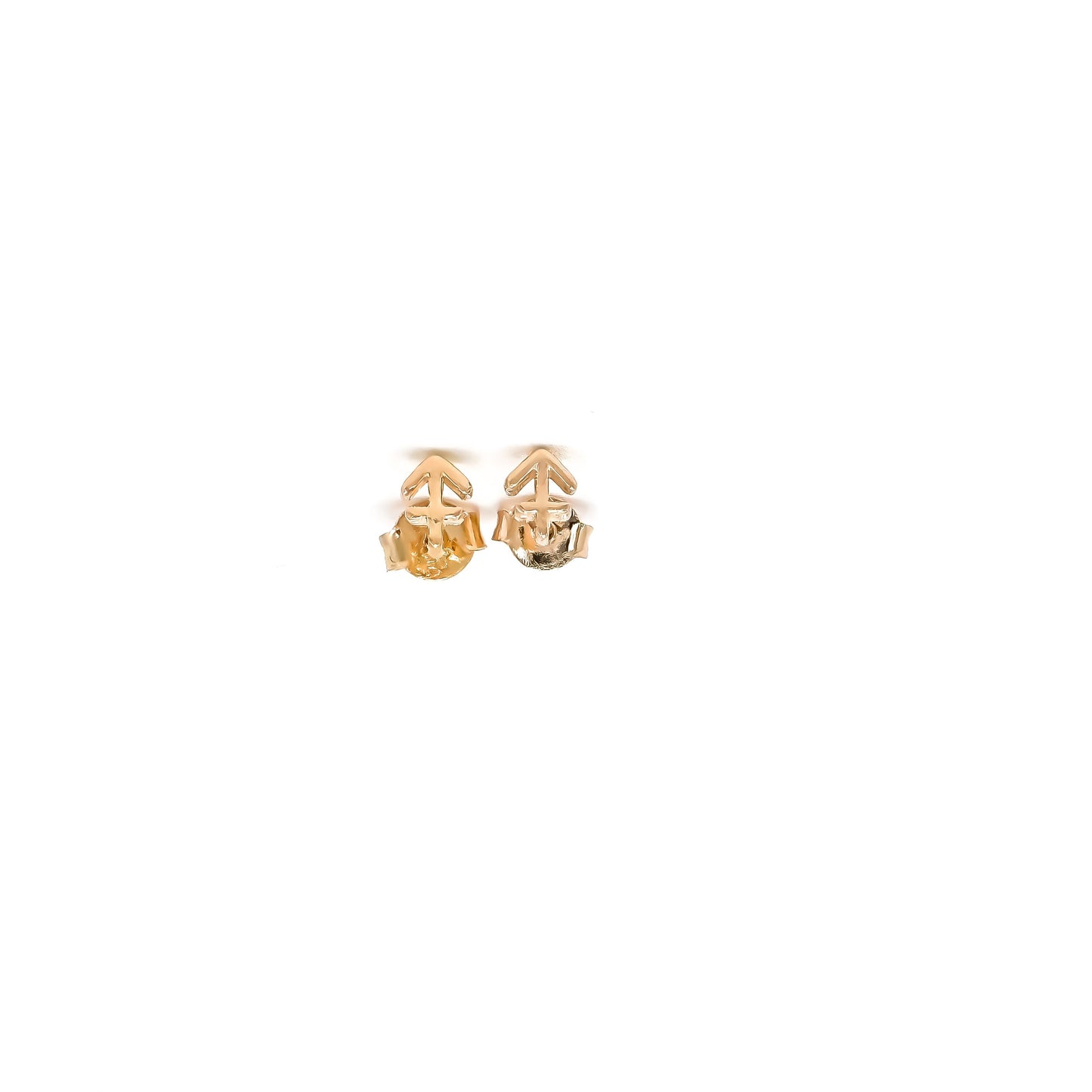 Zodiac Stud Earrings