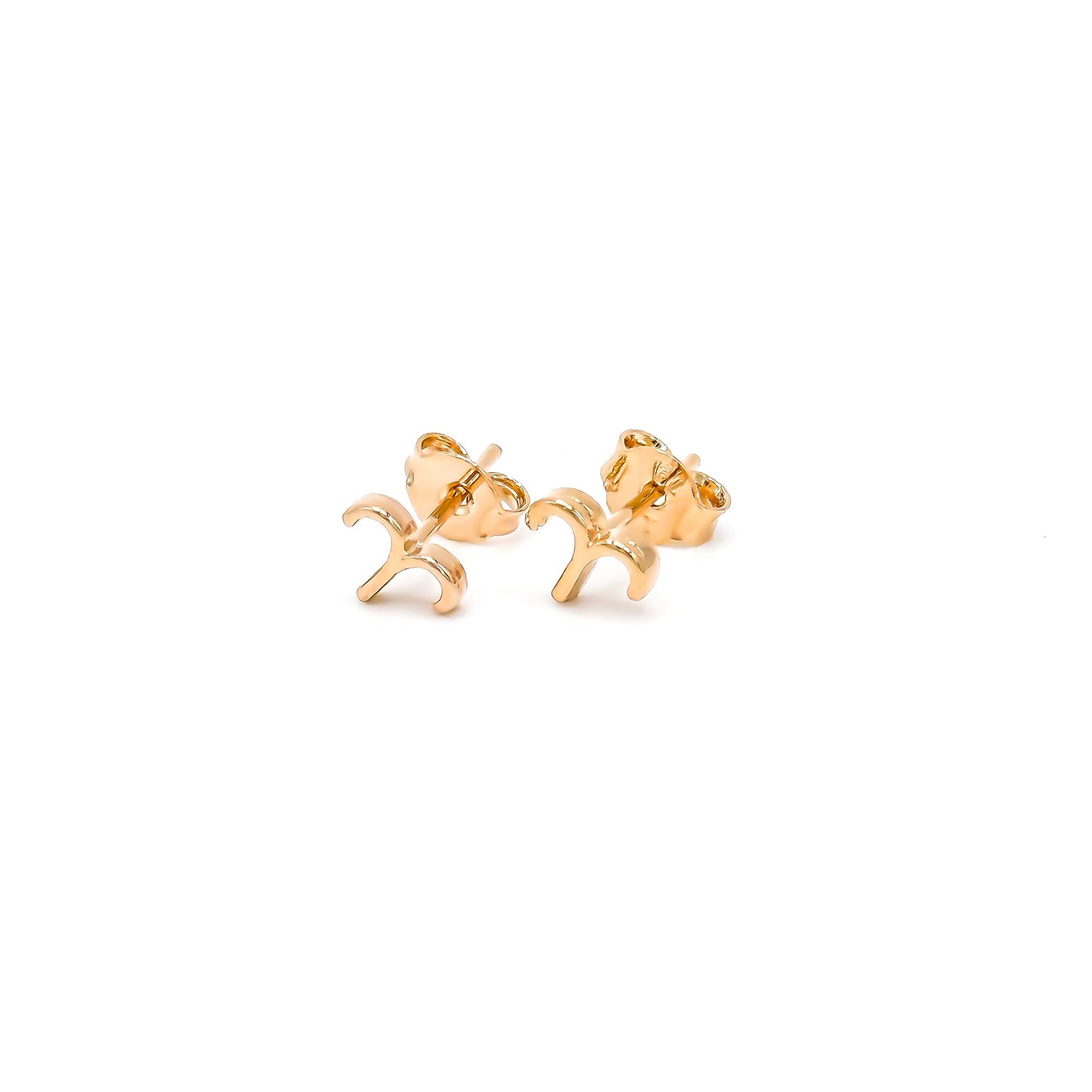 Zodiac Stud Earrings