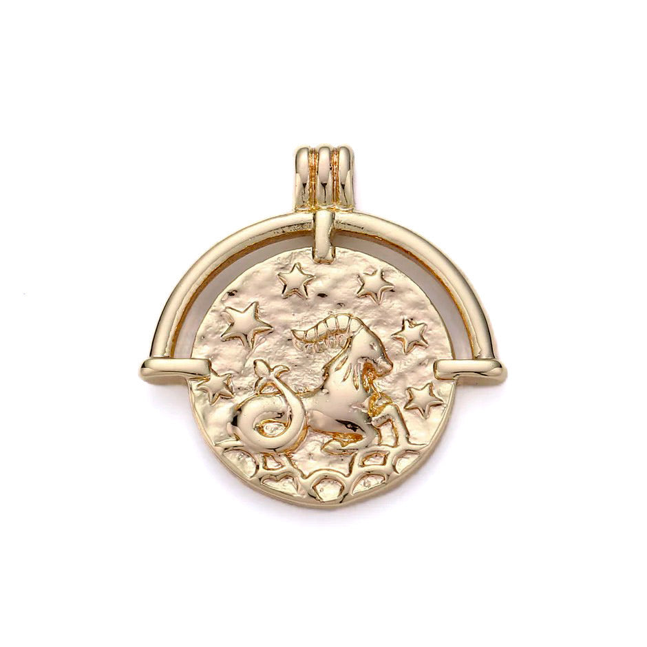 Zodiac Medallion Necklace